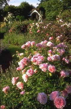 Para L.de F.B.N. ( J.)... Com amor!